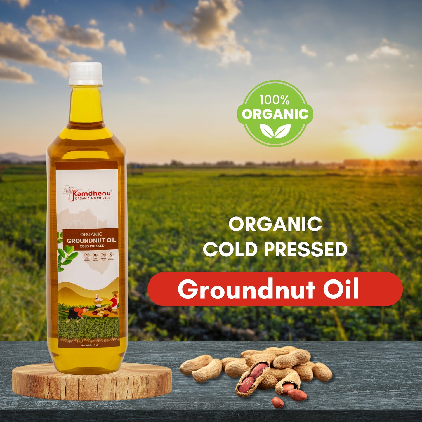 Organic Groundnut Oil